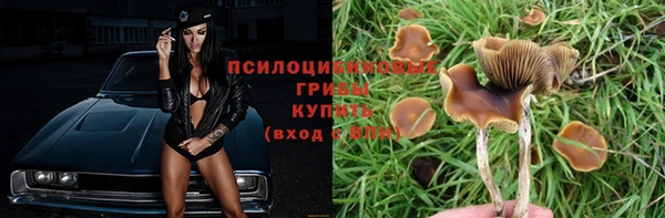 дурь Армянск